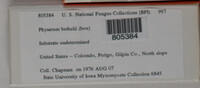 Image Associated With the Occurence